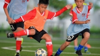 PVF tuyển sinh khóa 12, tìm kiếm tài năng bóng đá trẻ