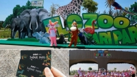 FLC Zoo Safari Park Quy Nhơn - Điểm đến không thể bỏ lỡ trong hành trình khám phá “xứ Nẫu”
