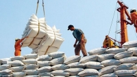 Thanh tra Chính phủ công bố quyết định thanh tra xuất khẩu gạo
