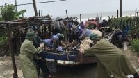 Thanh Hóa: Chính quyền chủ động triển khai cùng dân chống bão