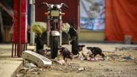 Cận cảnh: Dự án chợ Phú Đô với kinh phí gần 18 tỷ đồng chỉ để thả gà