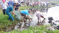 Đà Nẵng: Chung tay vì một cộng đồng không rác thải nhựa