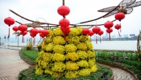 Đà Nẵng đầu tư 6 tỷ đồng trang trí hoa phục vụ Tết 2020