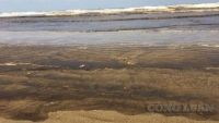 Quảng Ngãi: Nguyên nhân khiến nước biển ở Bình Sơn chuyển màu đen