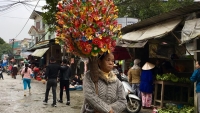 Đặc sắc làng hoa giấy Thanh Tiên mỗi dịp Tết về