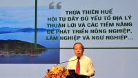 Thừa Thiên - Huế: Phát triển nông nghiệp bền vững, an toàn, ứng dụng công nghệ cao