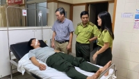Thừa Thiên Huế: Cán bộ bảo vệ rừng bị hành hung tại trụ sở