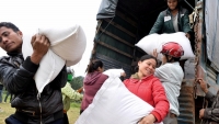 Hỗ trợ hơn 1200 tấn gạo cho tỉnh Nghệ An trong dịp Tết Canh Tý 2020
