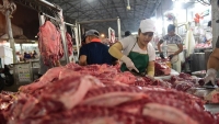 Thủ tướng yêu cầu sớm giảm giá thịt lợn