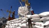 Bộ Công Thương đề nghị cho phép tiếp tục xuất khẩu gạo