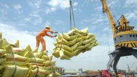 Thủ tướng cho phép xuất khẩu gạo trở lại ngay trong tháng 4
