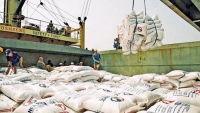 Thủ tướng Chính phủ yêu cầu tháo gỡ khó khăn cho xuất khẩu gạo