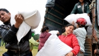 Chính phủ hỗ trợ hơn 2.000 tấn gạo cho các tỉnh Cao Bằng, Đắk Nông và Đắk Lắk