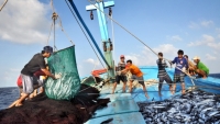 Việc Trung Quốc tạm ngừng đánh cá không có giá trị trên vùng biển Việt Nam