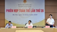 Đề xuất thí điểm tổ chức chính quyền đô thị tại TP Đà Nẵng