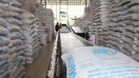 Nâng mức bảo lãnh tới 3% để ngăn ngừa doanh nghiệp trúng thầu gạo dự trữ quốc gia bỏ thầu