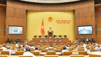 Quốc hội thảo luận về thí điểm tổ chức mô hình chính quyền đô thị tại Đà Nẵng