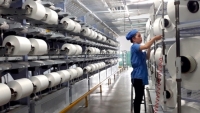 Việt Nam gia hạn điều tra chống bán phá giá sợi dài polyester đến tháng 10/2021