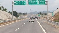 Bộ GTVT đồng ý trồng cọ dọc cao tốc Nội Bài - Lào Cai đoạn qua tỉnh Phú Thọ