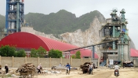 Bổ sung quy hoạch vùng nguyên liệu cho nhà máy Xi măng Long Thành