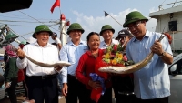 Vươn khơi đầu năm, ngư dân Quảng Trị trúng đậm “lộc biển” 7 tỷ đồng