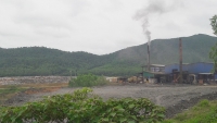 Nghệ An: Công ty môi trường làm ô nhiễm môi trường, bị phạt gần 600 triệu đồng