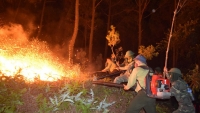 Đối tượng gây ra vụ cháy rừng lớn nhất Hà Tĩnh lĩnh án 7 năm tù