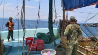 Bắt tàu giã cào đánh bắt hải sản bằng hình thức tận diệt trên biển Hà Tĩnh
