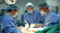 Các kỷ lục ghép tạng:Minh chứng tay nghề giỏi của bác sĩ Việt Nam