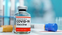 Ngày 10/12, Việt Nam bắt đầu quy trình thử vaccine COVID-19 trên người