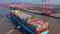Kiểm tra giá cước dịch vụ vận chuyển container của 12 hãng tàu biển