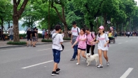 Hà Nội: Không tổ chức phố đi bộ trong dịp Tết Canh Tý 2020