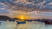 Những “đặc sản” giúp biển Ninh Chữ nổi tiếng thế giới
