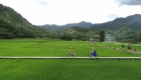 Du lịch Farmstay hấp dẫn du khách đến với vùng cao A Lưới - Thừa Thiên Huế