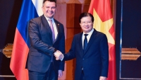Hợp tác kinh tế-thương mại và đầu tư giữa Việt Nam - LB Nga phát triển năng động