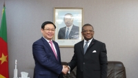 Cameroon mong muốn hợp tác toàn diện với Việt Nam