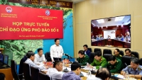 Phó Thủ tướng Trịnh Đình Dũng chủ trì cuộc họp triển khai công tác ứng phó bão số 6