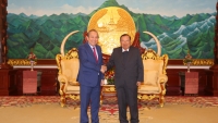 Phó Thủ tướng Trương Hòa Bình chào xã giao, hội kiến Tổng Bí thư, Chủ tịch nước và Thủ tướng Lào