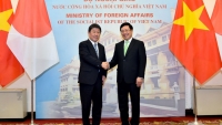 Phó Thủ tướng Phạm Bình Minh hội đàm với Bộ trưởng Ngoại giao Nhật Bản Motegi Toshimitsu