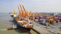 Xem xét miễn, giảm các chi phí cho doanh nghiệp vận tải biển