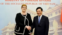 Việt Nam - Australia tăng cường chia sẻ thông tin, kinh nghiệm về phòng chống dịch Covid-19