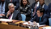 Việt Nam hoàn thành sớm Báo cáo tháng Chủ tịch Hội đồng Bảo an Liên hợp quốc