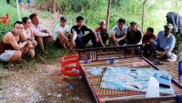 Quảng Nam: Bắt 10 đối tượng đánh xóc đĩa ở ven sông Vu Gia