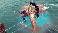Tàu cá va vào đá ngầm, 12 thuyền viên gặp nạn ở Cù Lao Chàm