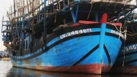 Quảng Nam: Tàu câu mực bất ngờ bị cháy, 33 ngư dân may mắn thoát nạn