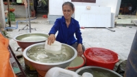 Quảng Nam: Nhiều địa phương đối mặt với tình trạng thiếu nước sinh hoạt