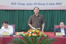 Nội dung đơn thư khiếu nại, tố cáo ở Đắk Nông chủ yếu liên quan đến đất đai