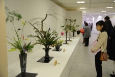 Ngạc nhiên với vẻ đẹp của nghệ thuật cắm hoa Ikebana Nhật Bản