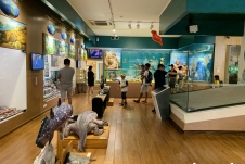Khám phá 1.400 mẫu vật quý hiếm tại Bảo tàng Thiên nhiên Việt Nam
