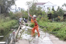 90% người dân miền Trung đã được cấp lại điện sau ảnh hưởng của bão Noru